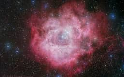 2025-02-14: A Cosmic Rose: NGC 2237 in Monoceros