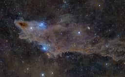 2025-03-18: LDN 1235: The Shark Nebula