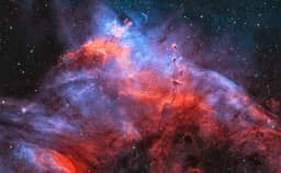 2025-04-28: Gum 37 and the Southern Tadpoles