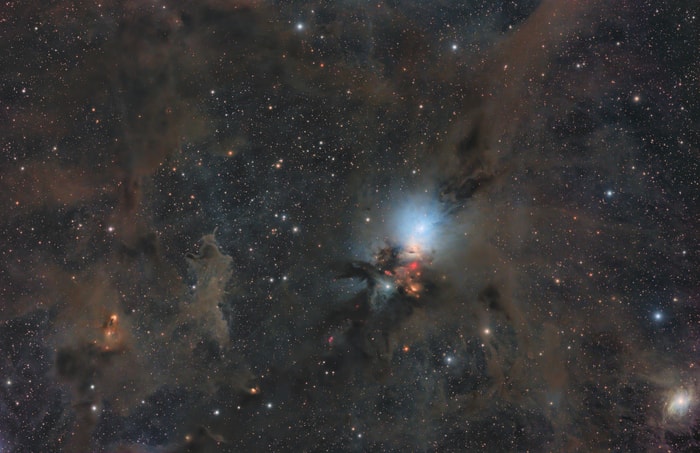 2025-01-25: Stardust in the Perseus Molecular Cloud