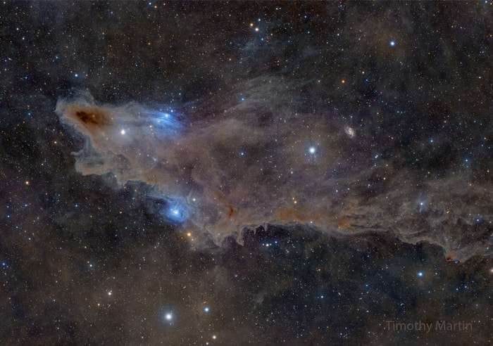 2025-03-18: LDN 1235: The Shark Nebula