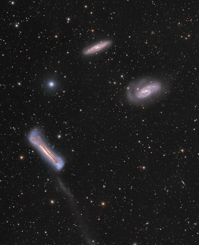 2025-03-21: The Leo Trio