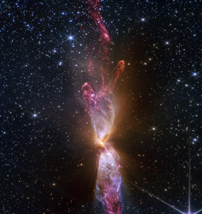 2025-03-13: The Protostars within Lynds 483